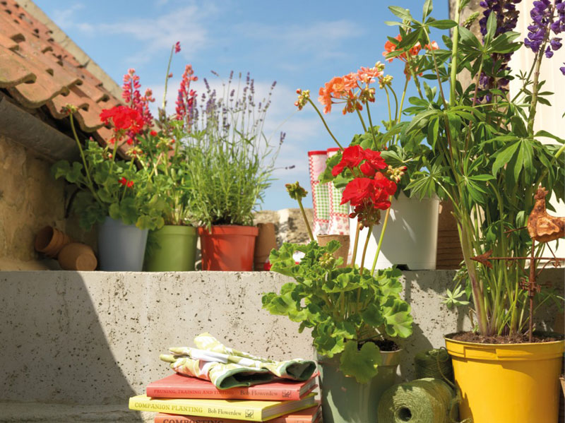 Gartenfarbe » Rustoleum Spray Paint » www.rustoleumspraypaint.com