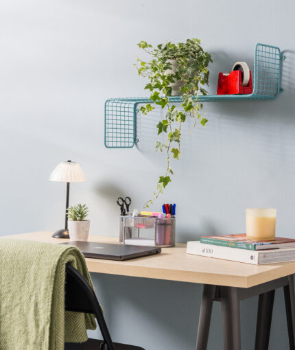 Switch - Lifestyle shot - misty blur