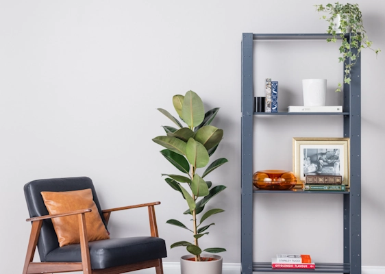 How To: Regal Makeover