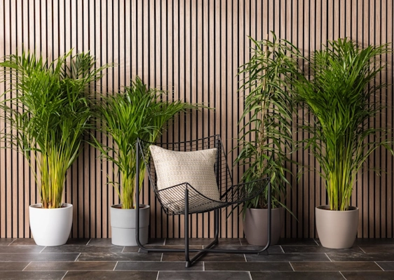 How To: Gartenstuhl Makeover